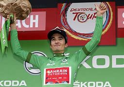 荷甲直播在线观看直播